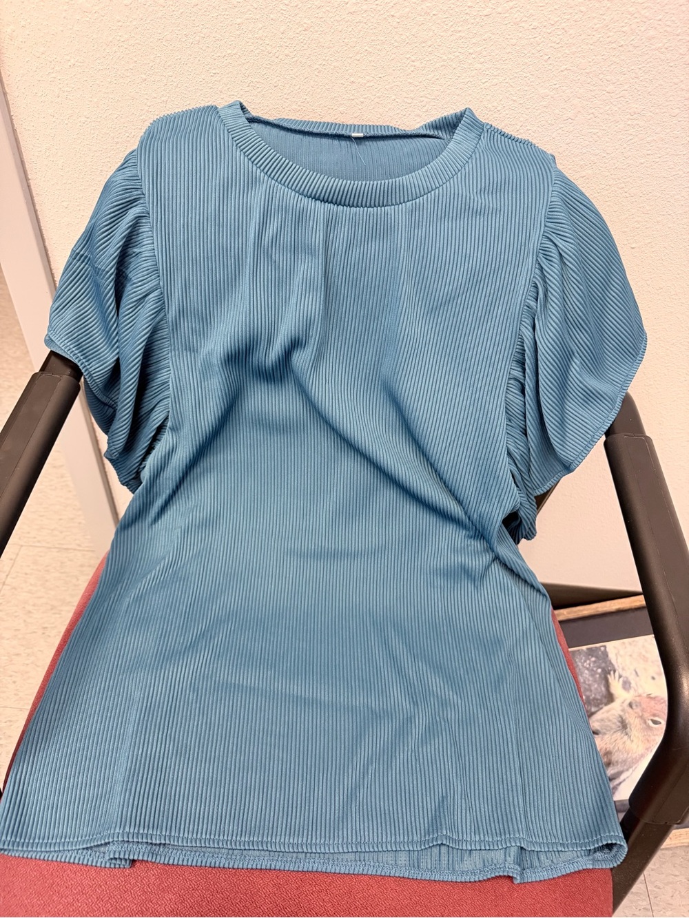 Women’s Rib-Knit Puff Sleeve Tee in Teal Blue